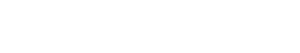 light logo